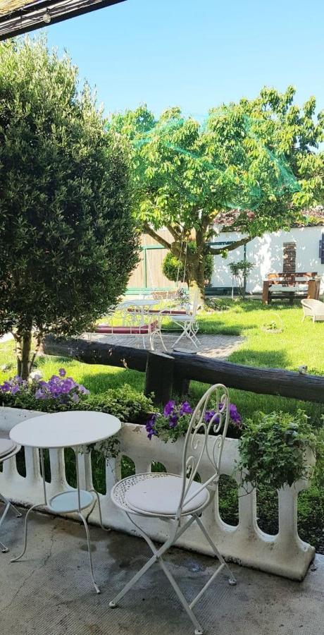 Il Segreto Di Shabel Bed and Breakfast Settimo Torinese Exterior foto